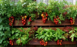 10 Stunning Fence Garden Ideas for 2025