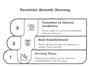 The Gardening 3-Year Rule: Letting Plants Rest for Better Growth